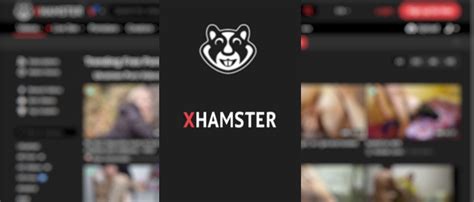 hamesterx|Best Porn Channels: Sex Video Producers & Creators 